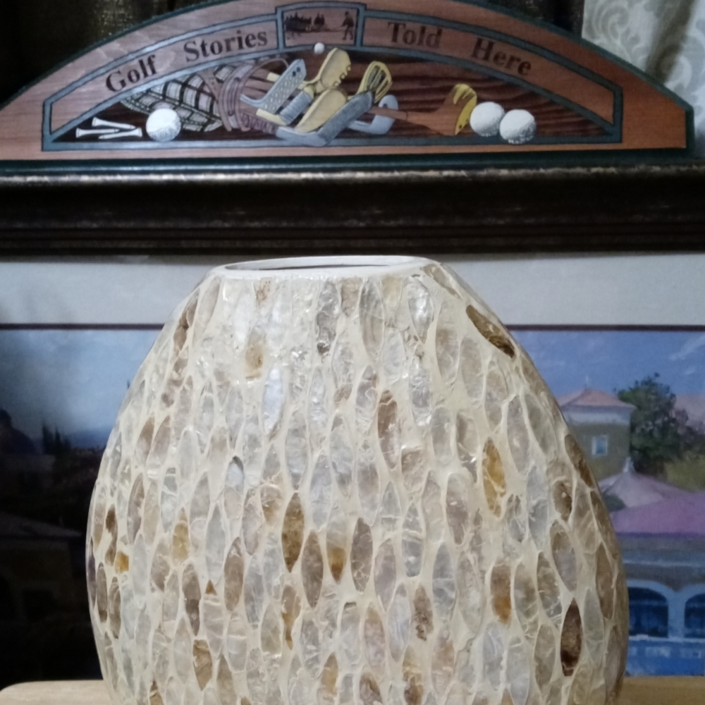 π€πFire Fly Mother of pearl vaseππππSize 12"Γ11",A Nice Gift Item.ππππ - Picture 4 of 7